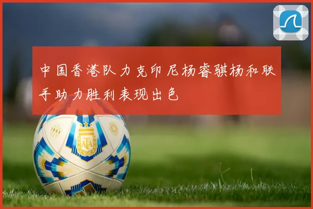 中国香港队力克印尼杨睿骐杨和联手助力胜利表现出色